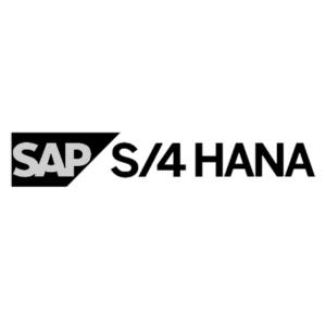 SAP S/4 Hana